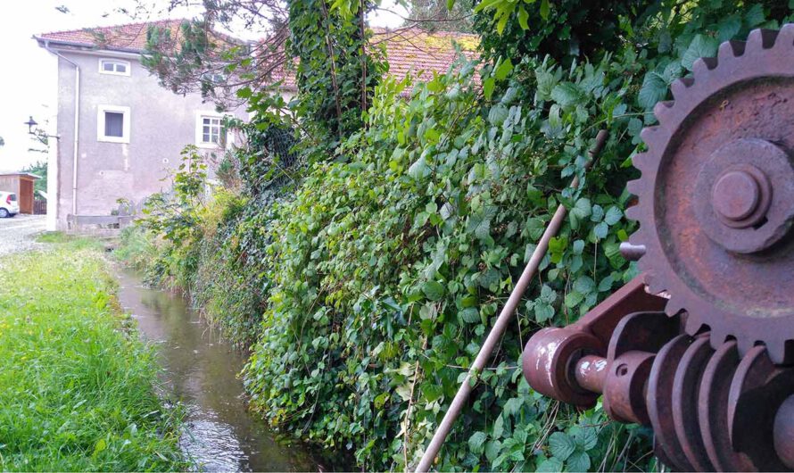 Mühlenlehrpfad soll die Geschichte der Wassernutzung dokumentieren
