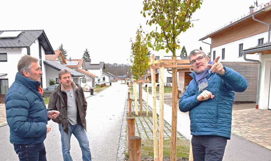 Begrünung im Pillerfeld: Vom Baugebiet zum Wohnquartier