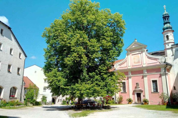 Willkommen zum Lindenfest im Burghof Tittmoning