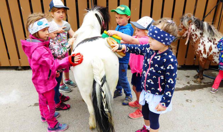 Ausflüge der Kindergärten Asten und Kay * SchauRein! Online