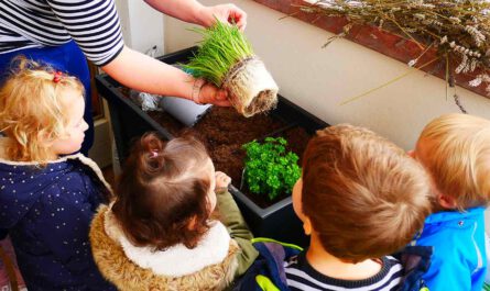 Hochbeete vom Gartenbauverein werden von Kindergartenkindern bepflanzt
