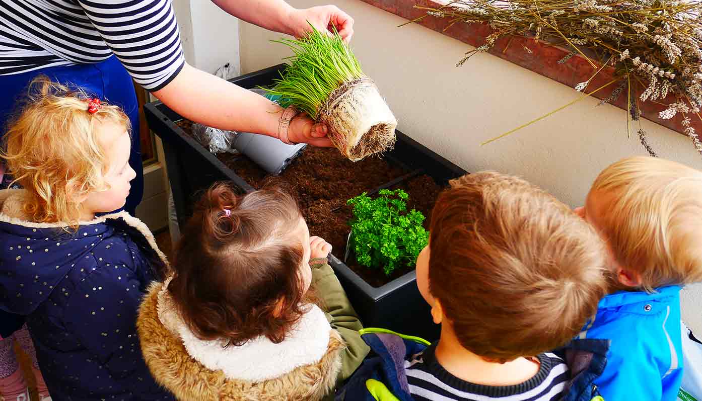 Hochbeete vom Gartenbauverein werden von Kindergartenkindern bepflanzt