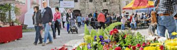 Colloredomarkt '24 auf der Burg Tittmoning