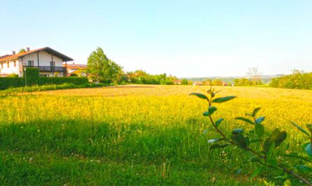 Bauen im Wohnhof Hüttenthaler Feld