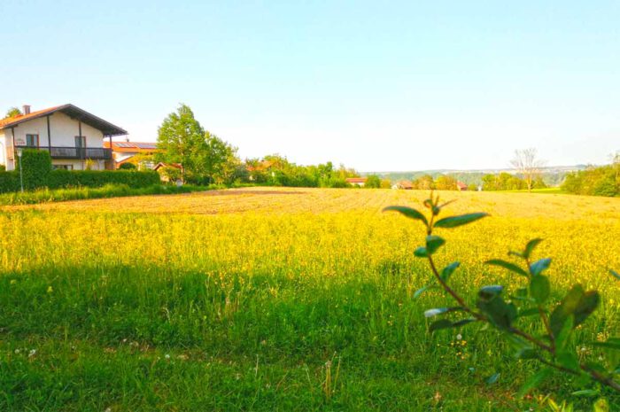 Bauen im Wohnhof Hüttenthaler Feld