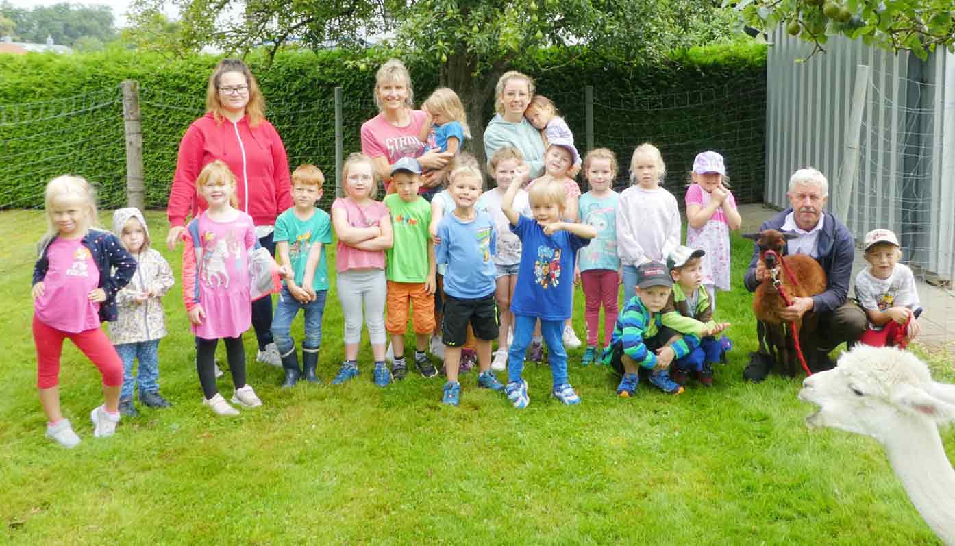 Kindergarten Asten zu Besuch bei den Alpakas