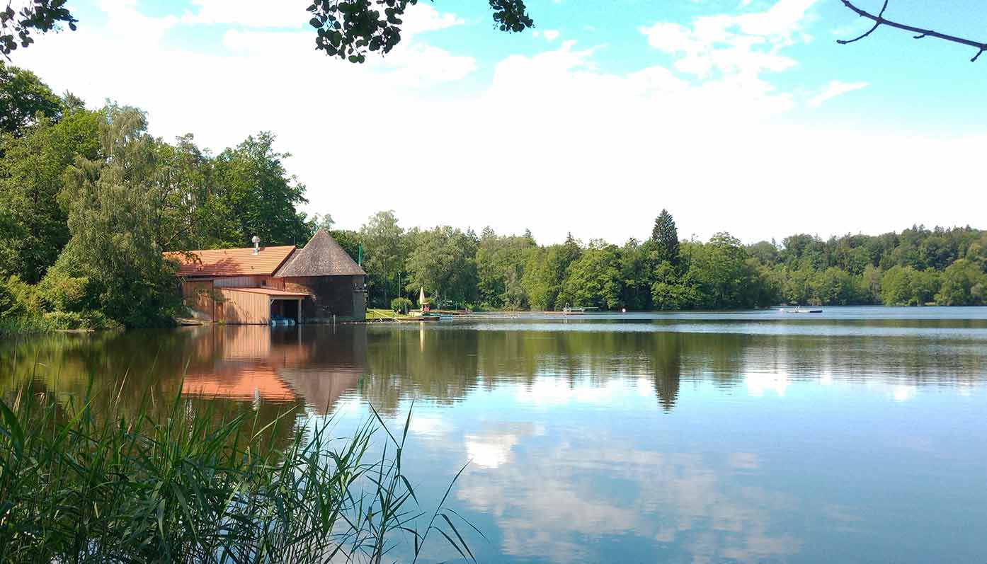 Blaualgen am Seebad in Leitgering