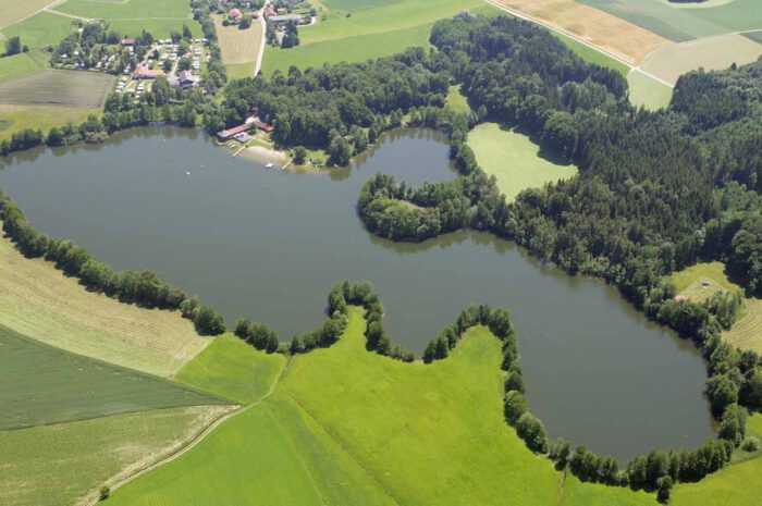 Blaualgen im Leitgeringer See