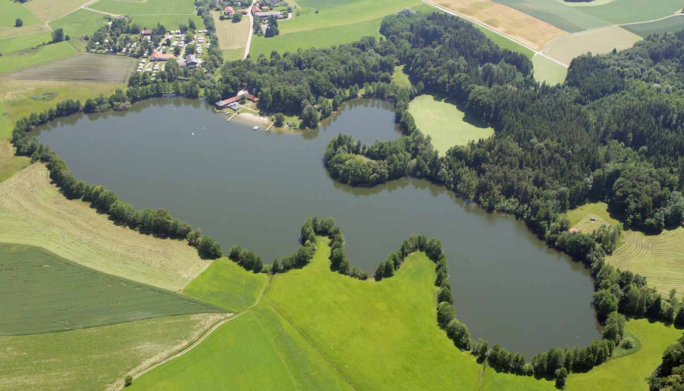 Blaualgen im Leitgeringer See