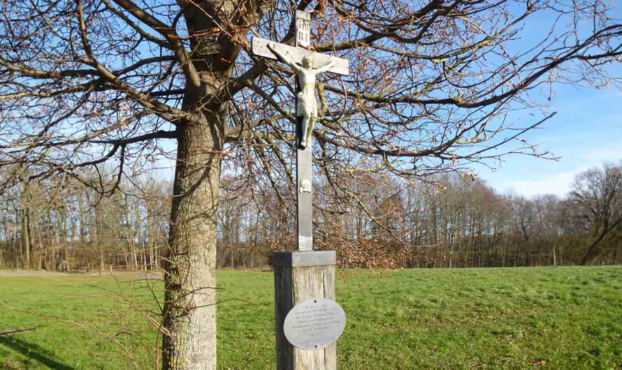 Vagant wider Willen: Erinnerung an Ferdinand Joly mit G’schichten und Musik