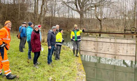 Hochwasser und Hochwasserschutz