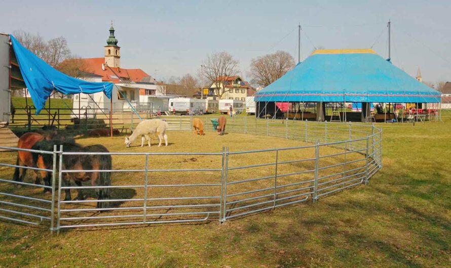 Mitmachprojekt: Zirkus auf dem Schulsportplatz
