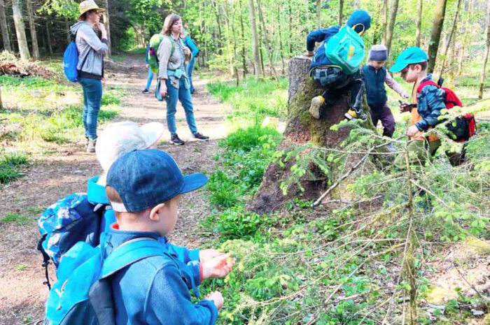 Den Wald mit allen Sinnen erkunden: „Waldeulen“ bei ihrem Ausflug.