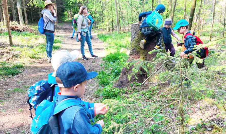 Lieblingsplätze im Wald – „Waldeulen“ wanderten in Meggenthal