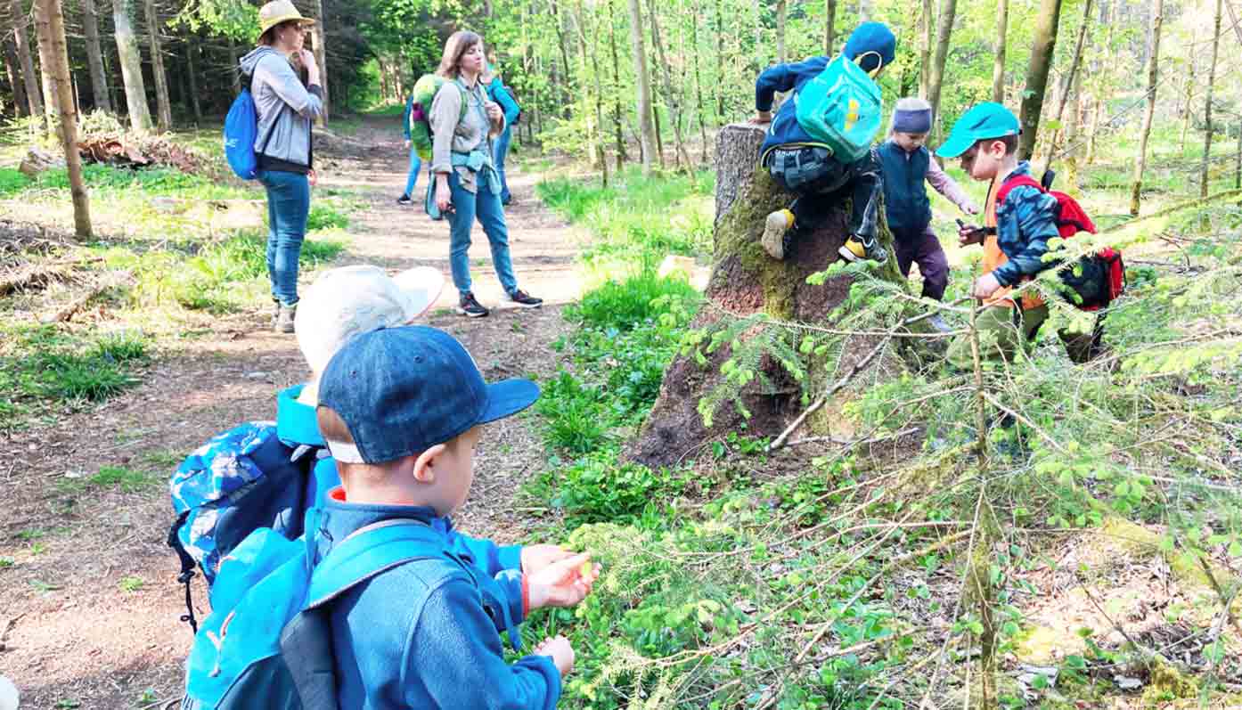 Den Wald mit allen Sinnen erkunden: „Waldeulen“ bei ihrem Ausflug.